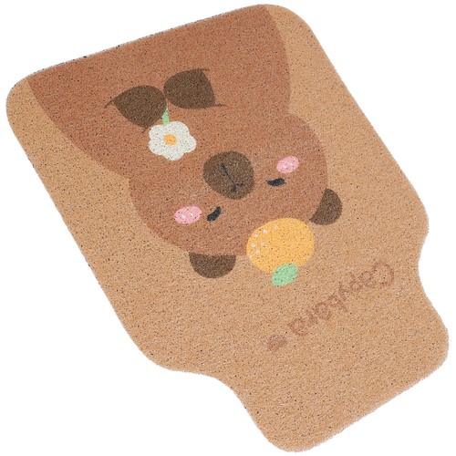 Floor mat for vehicle - floor,