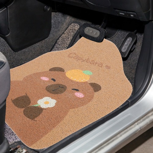 Car floor mat automotive - mat, front