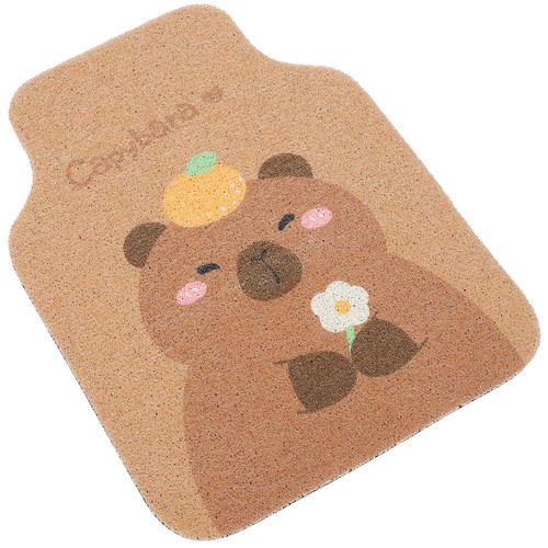 Car floor mat - car, front
