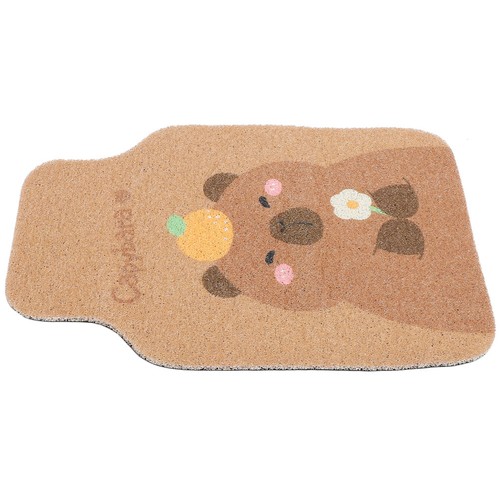 Car floor mat - floor, front